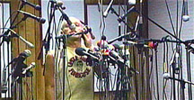 many many microphones